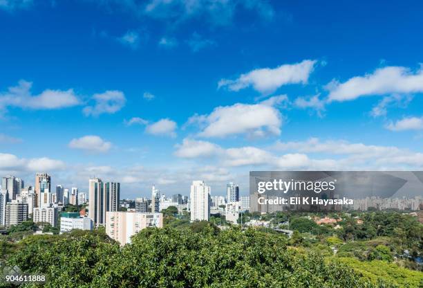 panoramica do centro - ibirapuera stock-fotos und bilder