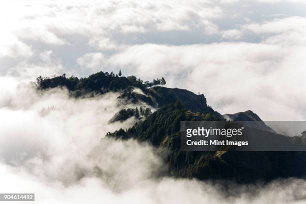 aerial view of lush mountains on an island, surrounded by clouds. - kapverden stock-fotos und bilder