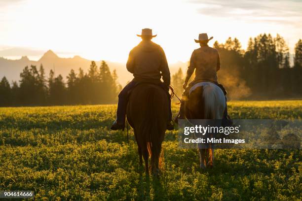 two cowboys riding on horseback in a prairie landscape at sunset. - trail ride stock pictures, royalty-free photos & images