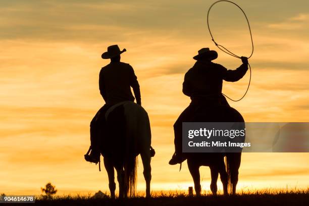 two cowboys riding on horseback in a prairie landscape at sunset, one swinging lasso. - prairie stock-fotos und bilder