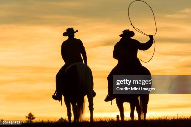 two cowboys riding on horseback in a prairie landscape at sunset, one swinging lasso. - prairie silhouette stock pictures, royalty-free photos & images