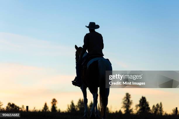 cowboy riding on horseback in a prairie landscape at sunset. - trail ride stock pictures, royalty-free photos & images