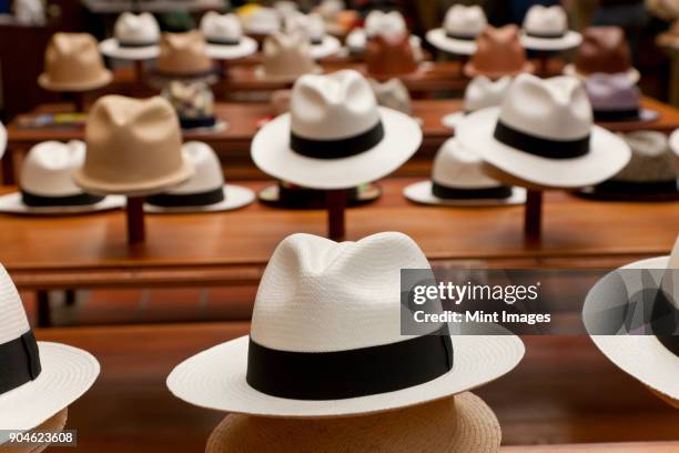 rows of panama hats on display in a shop. - panama hat stock pictures, royalty-free photos & images