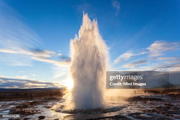 landscape with active geyser erupting in the foreground. - natuurwonder stockfoto's en -beelden