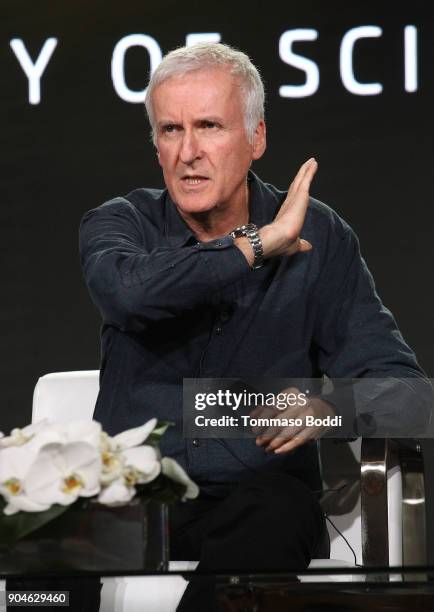 Director James Cameron of the television show AMC Visionaries: James Cameron's Story of Science Fiction speaks onstage during the AMC portion of the...