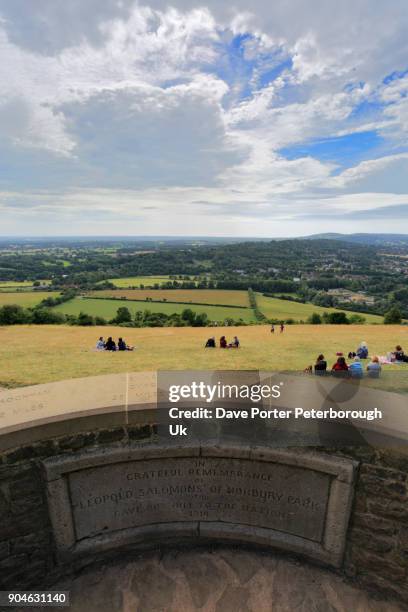 summer view over box hill, - box hill stock pictures, royalty-free photos & images