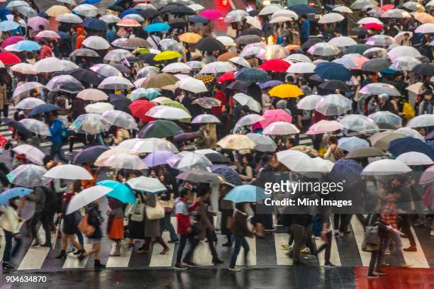 high angle view of large group of pedestrians carrying umbrellas crossing urban street. - pedestrian walkway stock-fotos und bilder