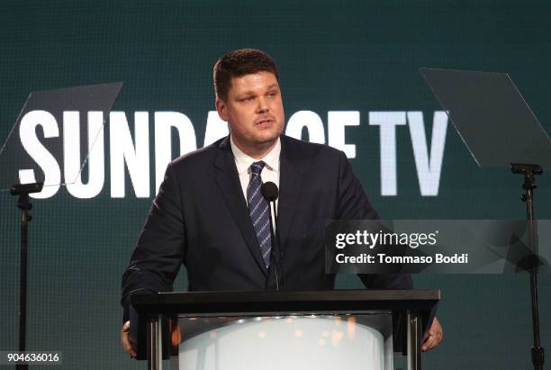 Jan Diedrichsen, general manager, Sundance Now, speaks onstage during the AMC portion of the 2018 Winter Television Critics Association Press Tour on...