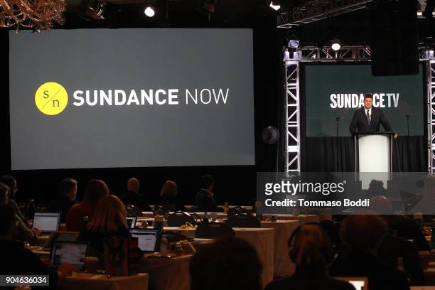 Jan Diedrichsen, general manager, Sundance/Sundance Now, speaks onstage during the AMC portion of the 2018 Winter Television Critics Association...