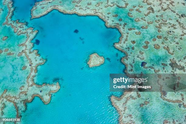 aerial view of turquoise reef in the pacific ocean. - shallow stock pictures, royalty-free photos & images