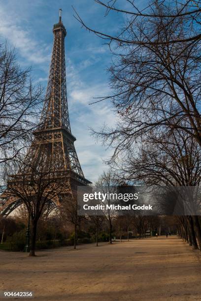 eiffel tower visible in between trees from nearby footpath - intercontinental paris grand ストックフォトと画像