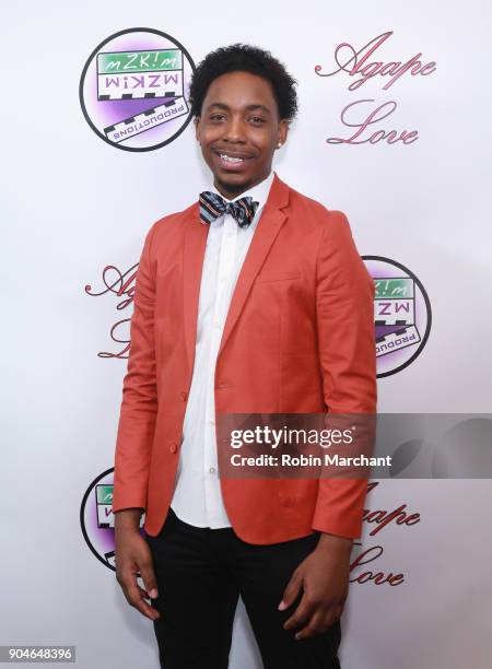 Erick Perkins attends Agape Love Red Carpet on January 13, 2018 in Milwaukee, Wisconsin.