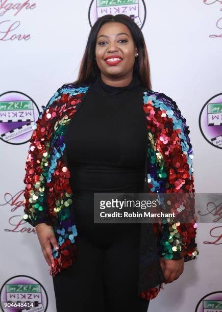 Bryanna Hill attends Agape Love Red Carpet on January 13, 2018 in Milwaukee, Wisconsin.