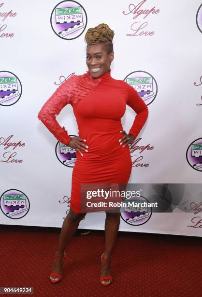 Damita Chandler attends Agape Love Red Carpet on January 13, 2018 in Milwaukee, Wisconsin.