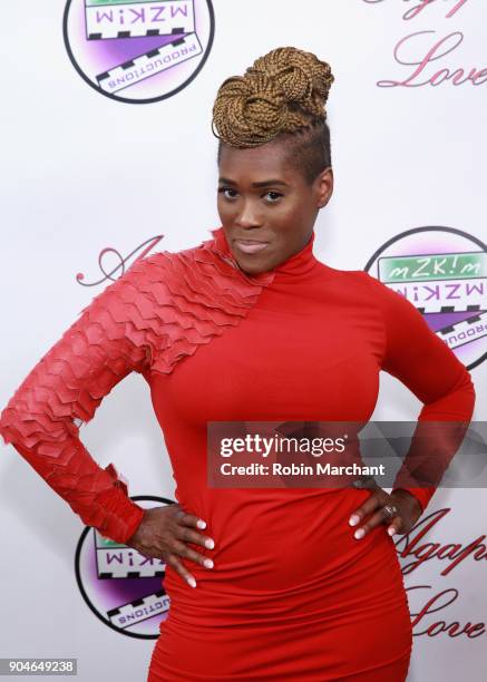 Damita Chandler attends Agape Love Red Carpet on January 13, 2018 in Milwaukee, Wisconsin.