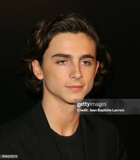 Timothee Chalamet attends the 43rd Annual Los Angeles Film Critics Association Awards on January 13, 2018 in Hollywood, California.