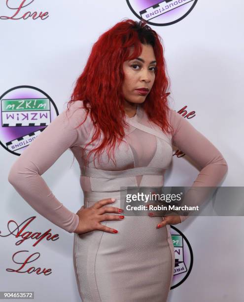 Tiffany Terry attends Agape Love Red Carpet on January 13, 2018 in Milwaukee, Wisconsin.