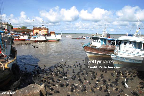 fishing boats at the ebb tide in guajara bay in brazil - ebb tide stock pictures, royalty-free photos & images