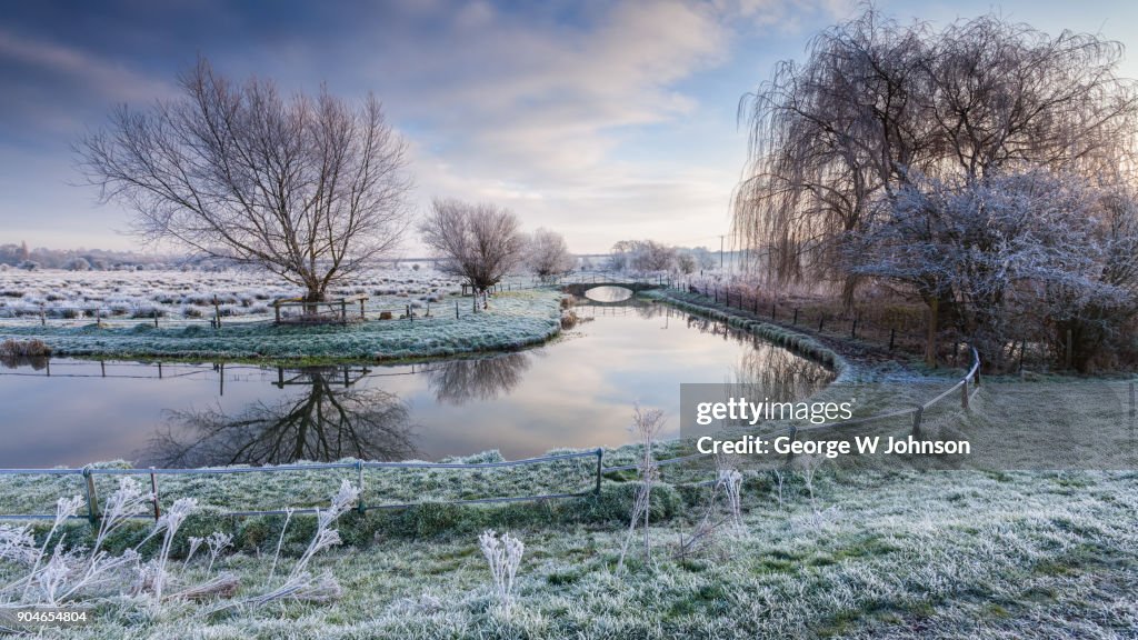 Hertford Marshes XV