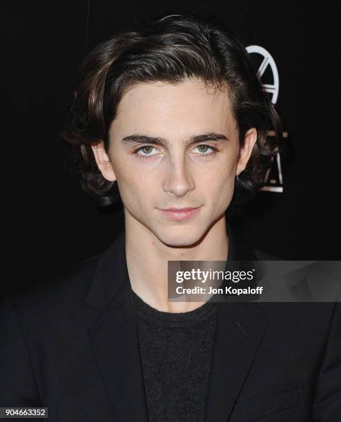 Timothee Chalamet attends the 43rd Annual Los Angeles Film Critics Association Awards on January 13, 2018 in Los Angeles, California.