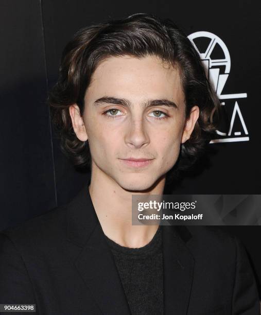 Timothee Chalamet attends the 43rd Annual Los Angeles Film Critics Association Awards on January 13, 2018 in Los Angeles, California.