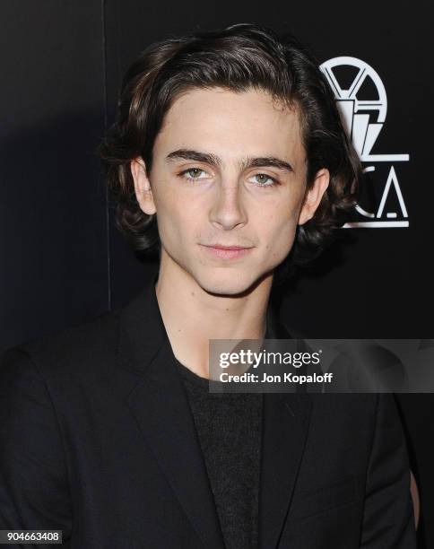 Timothee Chalamet attends the 43rd Annual Los Angeles Film Critics Association Awards on January 13, 2018 in Los Angeles, California.