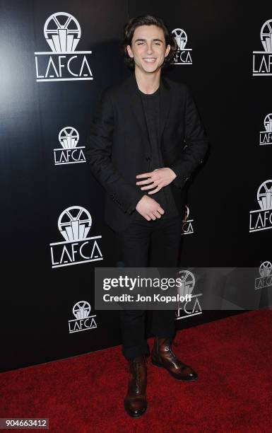 Timothee Chalamet attends the 43rd Annual Los Angeles Film Critics Association Awards on January 13, 2018 in Los Angeles, California.