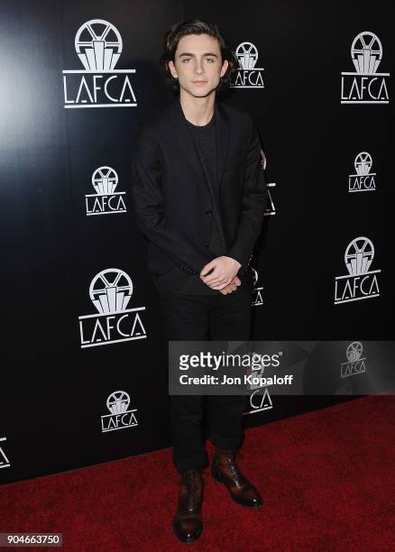 Timothee Chalamet attends the 43rd Annual Los Angeles Film Critics Association Awards on January 13, 2018 in Los Angeles, California.