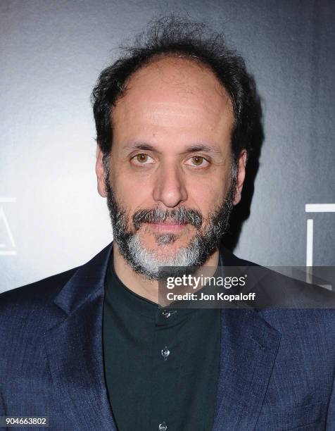 Luca Guadagnino attends the 43rd Annual Los Angeles Film Critics Association Awards on January 13, 2018 in Los Angeles, California.