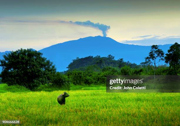 turrialba volcano, sarapiqui, costa rica - heredia province stock pictures, royalty-free photos & images