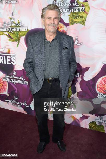 Actor James Brolin attends Hallmark Channel and Hallmark Movies and Mysteries Winter 2018 TCA Press Tour at Tournament House on January 13, 2018 in...