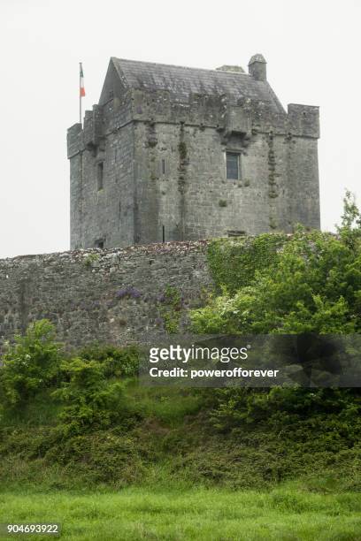 dunguaire castle in county galway, ireland - kinvara stock pictures, royalty-free photos & images