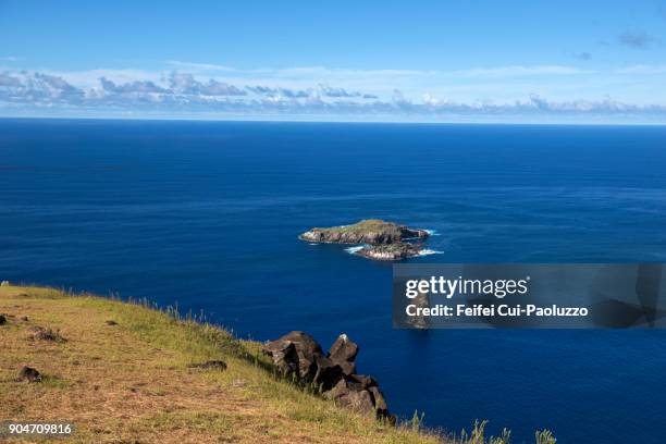 pacific ocean and sea stacks motu nui - motu nui stockfoto's en -beelden