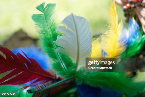 tribal crown of the peruvian amazon - plume tribal stock-fotos und bilder