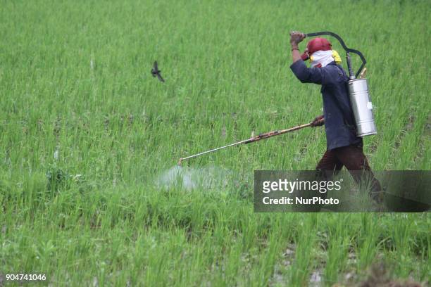 Farmers perform activities on agricultural land in the district of Bekasi, West Java province, Indonesia, on Sunday, January 14, 2018. Based on data...