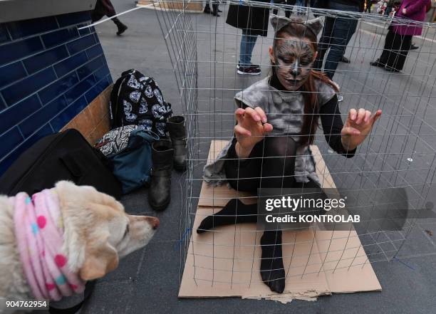 Young girl disguised as a mink and locked in a cage in the streets of Naples, for an animalist protest against the raising of mink for the packaging...