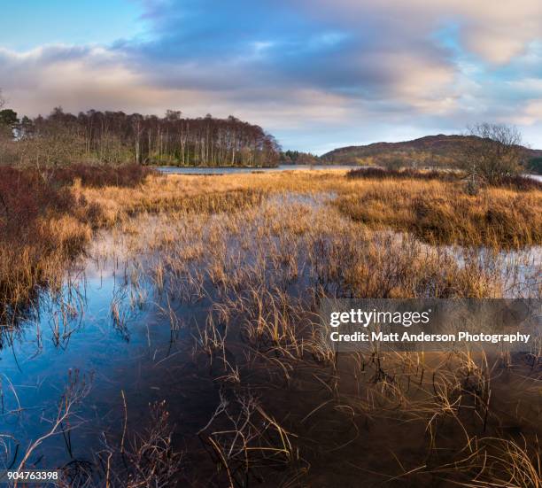 pitlochry mountain landscape #3 - loch tummel stock pictures, royalty-free photos & images