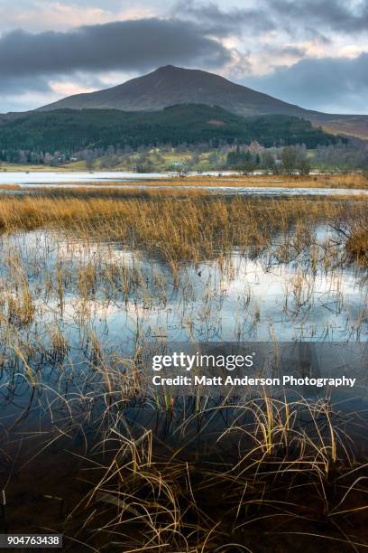 pitlochry mountain landscape #1 - loch tummel stock pictures, royalty-free photos & images