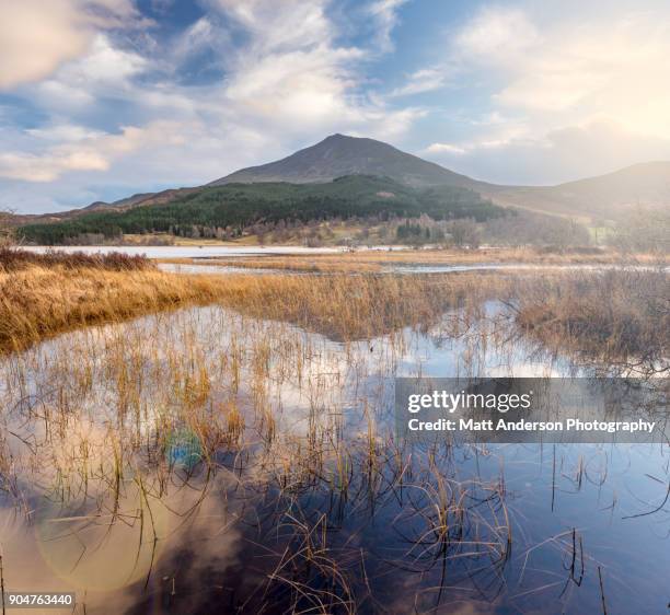 pitlochry mountain landscape #4 - loch tummel stock pictures, royalty-free photos & images