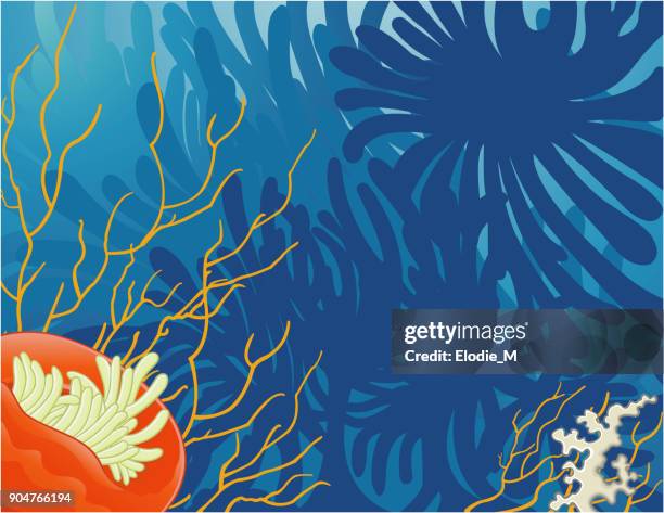 サンゴ海の下で。coraux ス ラ ・ メール - サンゴ海点のイラスト素材／クリップアート素材／マンガ素材／アイコン素材
