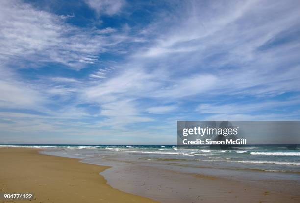 safety beach, woolgoolga, new south wales, australia - wispy stock pictures, royalty-free photos & images