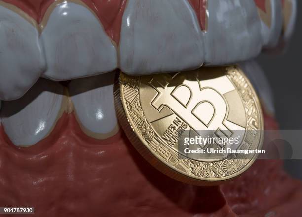 Stable or unstable? The symbol photo shows a Bitcoin between the teeth of a dentition.