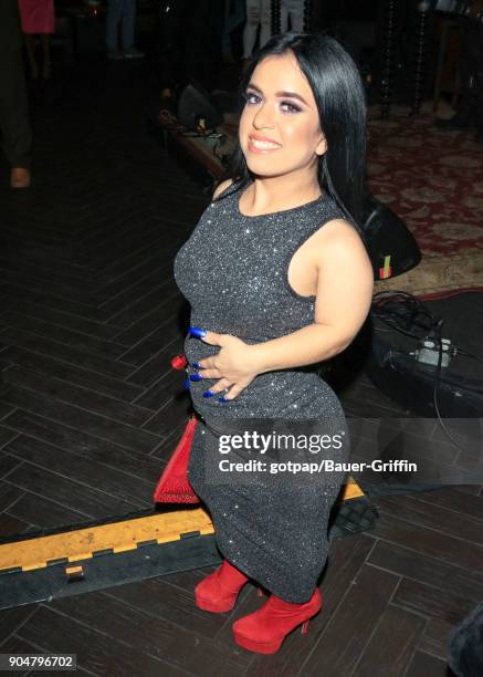 Brittney Guzman is seen on January 13, 2018 in Los Angeles, California.