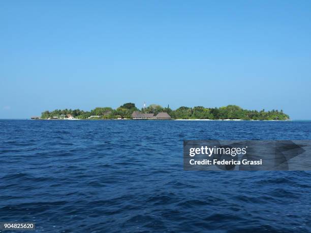 bandos island, maldives - bandos foto e immagini stock