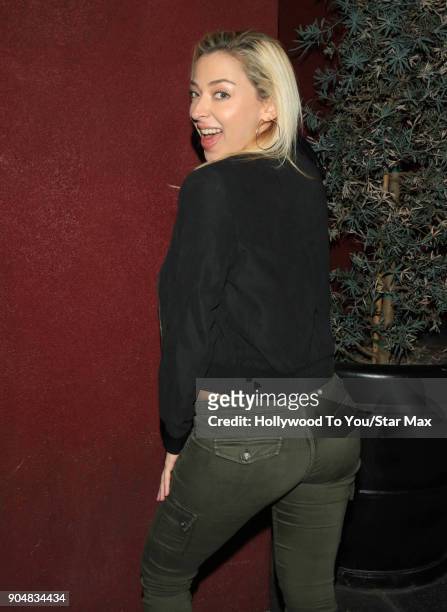 Liz Nolan is seen on January 13, 2018 in Los Angeles, CA.