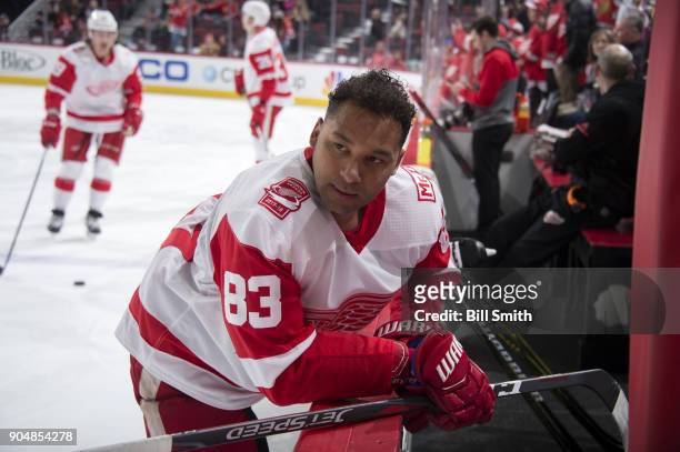 Trevor Daley of the Detroit Red Wings warms up prior to the game against the Chicago Blackhawks at the United Center on January 14, 2018 in Chicago,...