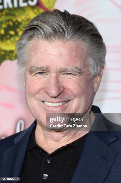 Actor Treat Williams attends Hallmark Channel And Hallmark Movies and Mysteries Winter 2018 TCA Press Tour at Tournament House on January 13, 2018 in...