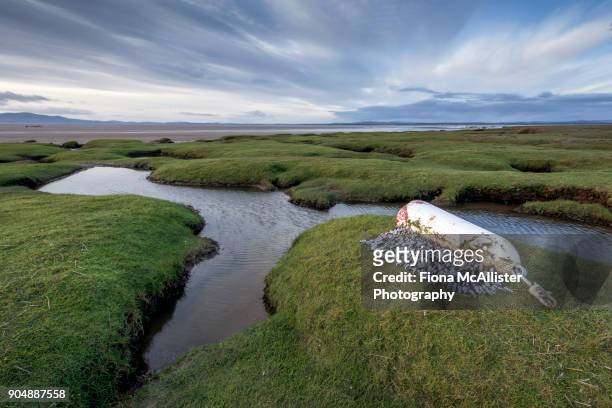 tidal salt marsh, solway firth, british coastline - cumbrian coast stock-fotos und bilder