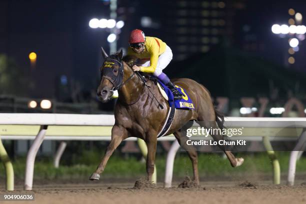 Jockey Yutaka Take riding Copano Rickey wins the Teio Sho at Ohi Racecourse in Tokyo, Japan on June 29, 2016. This race began in 1978 as a spring...