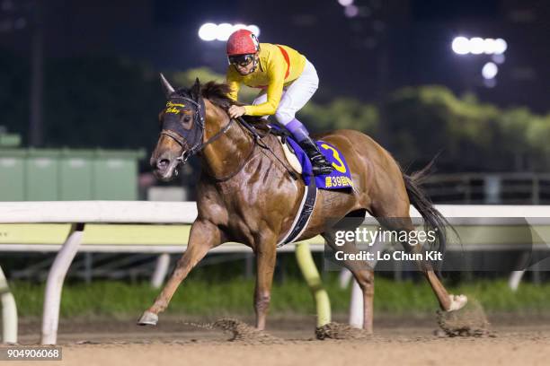 Jockey Yutaka Take riding Copano Rickey wins the Teio Sho at Ohi Racecourse in Tokyo, Japan on June 29, 2016. This race began in 1978 as a spring...